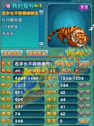 个性宠物名