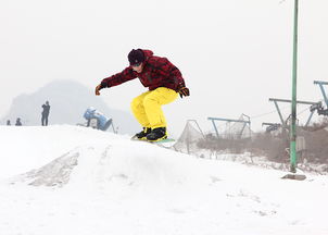 银装素裹千山白,一抹丹霞雪上飞。