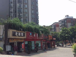 随缘居，随缘居官网入口