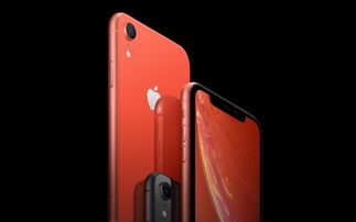 苹果官方网址到底是http://store.apple.com/cn/?还是 http://www.appl