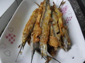 棒鱼，棒鱼图片