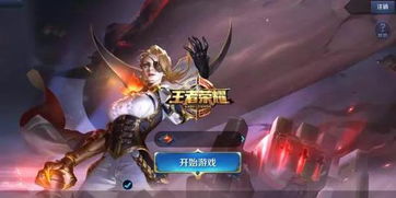 王者荣耀都有谁