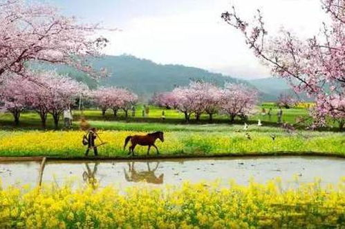湖南分为湘中,湘南,湘北. 分别包括哪些地市