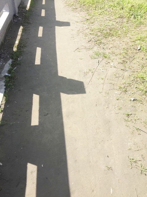 形容泥土路的诗句