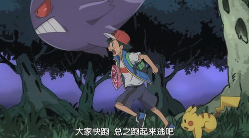 宝可梦耿鬼，宝可梦耿鬼配招