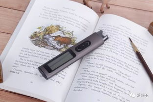 “第一章”的英文怎么拼来着