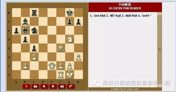 请问国际象棋哪款软件能够测出自己的ELO?谢谢