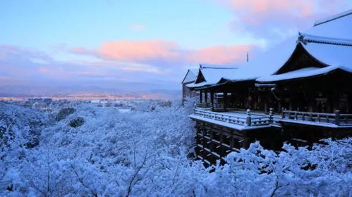 瑞雪兆丰年,下雪对农事的好处有哪些?