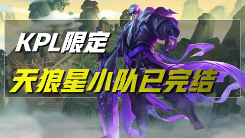 王者荣耀有哪些职业皮肤,你喜欢吗?