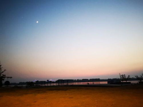 仲夏的意思是什么?