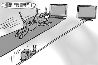 造成假宽带的主要原因有哪些?