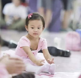 田亮女儿和儿子叫什么名字