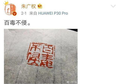 万词王，万词王wantwords官网