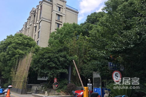 求《灰网》小说下载