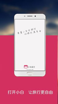 小白网下载链接如何拷贝