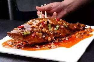 臭桂鱼的来历简短介绍