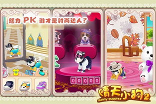 晴天小狗2，晴天小狗2为什么下架了