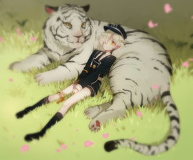 刀剑乱舞的人物介绍