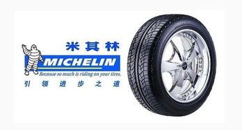 米其林是啥意思?