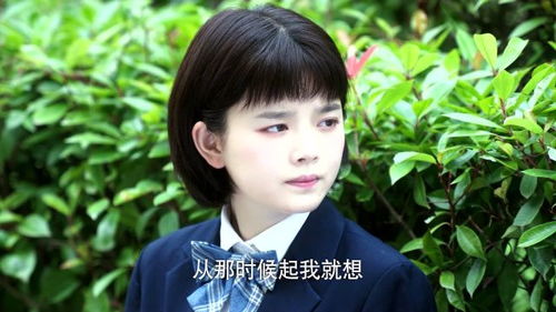 夏和夏侯是同一个姓吗?