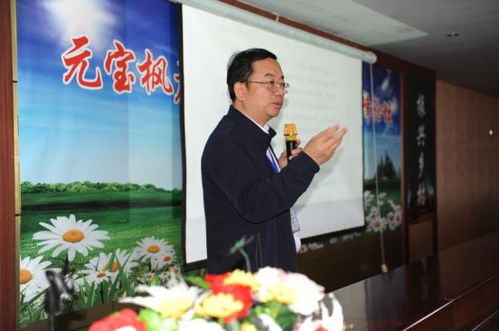 旗米拉论坛，旗米拉论坛vip飞猴