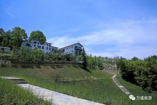 光明百花谷现在有花吗