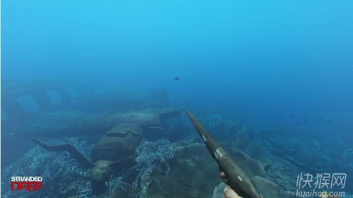 深海搁浅，深海搁浅手机版下载