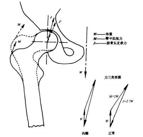 体法，体法法师个人资料简介