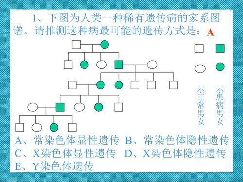 系谱名词解释