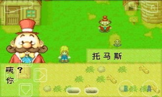 牧场物语所有版本?