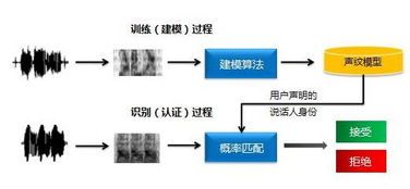 生物识别技术，生物识别技术是利用人体固有的生理特征和行为特征