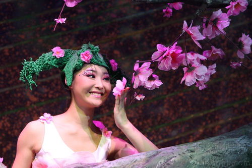 桃花公主去国家的顺序