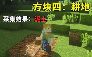我的世界精准采集，我的世界精准采集有什么用