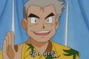 大木博士，大木博士和小智妈妈什么关系