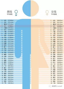 全国各省平均身高,全国各省平均身高排名