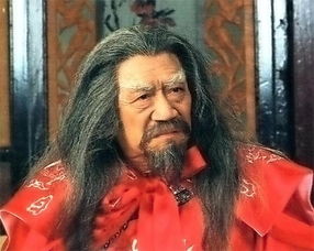 袁承志就是洪安通