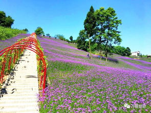 百花谷，百花谷在哪里