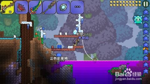 泰拉瑞亚渔夫任务奖励