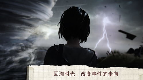 奇异人生,奇异人生本色