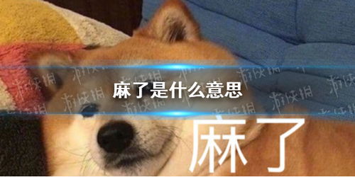 麻了是什么意思，麻了是什么意思网络