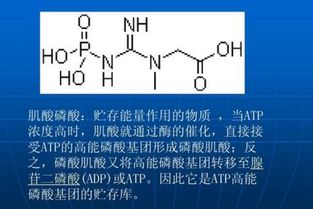 cp是什么意思?