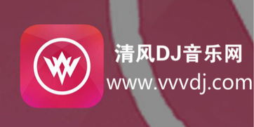 清风网好听的电音编号有哪些
