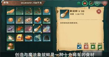 创造与魔法象拔蚌用什么钓