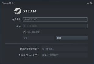 steam电脑怎么打不开怎么办