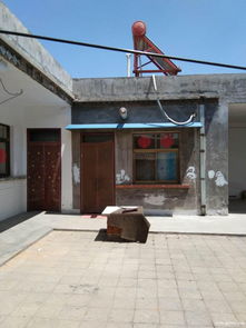 巩义市哪里出租建筑壳子板的