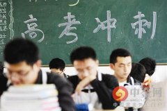 阳光高考，阳光高考平台