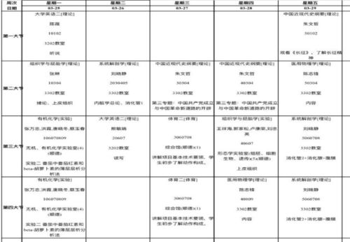 背背，背背佳矫正脊柱侧弯有效果吗