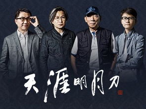 神偷谍影简介及详细资料