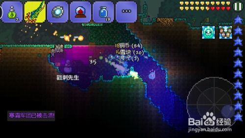 泰拉瑞亚寒霜套怎么合成