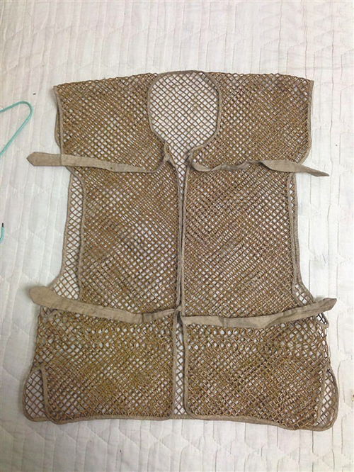 竹衣的介绍
